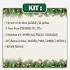 Kit Arvore De Natal 60cm Decorada Com 47 Enfeites Completa 110/220